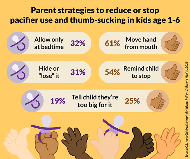 Mott Poll pacifiers